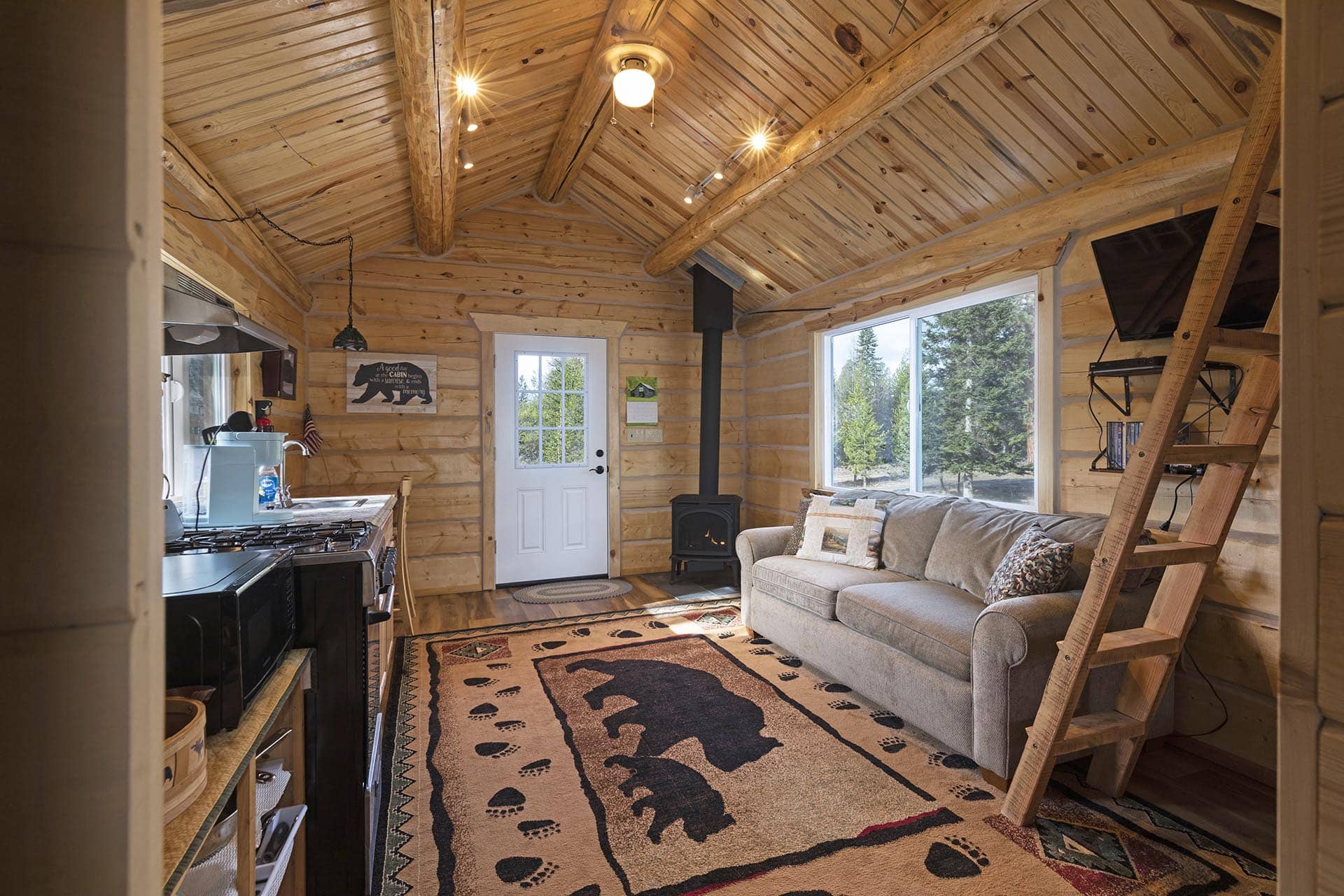 secluded cabin for sale Montana cabinet mountain wilderness retreat