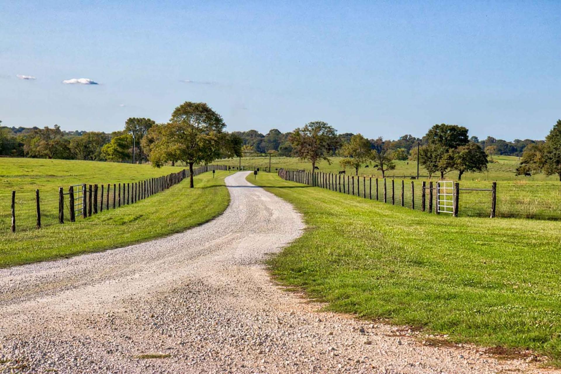 spring fed creek ranch texas whitehall ranch