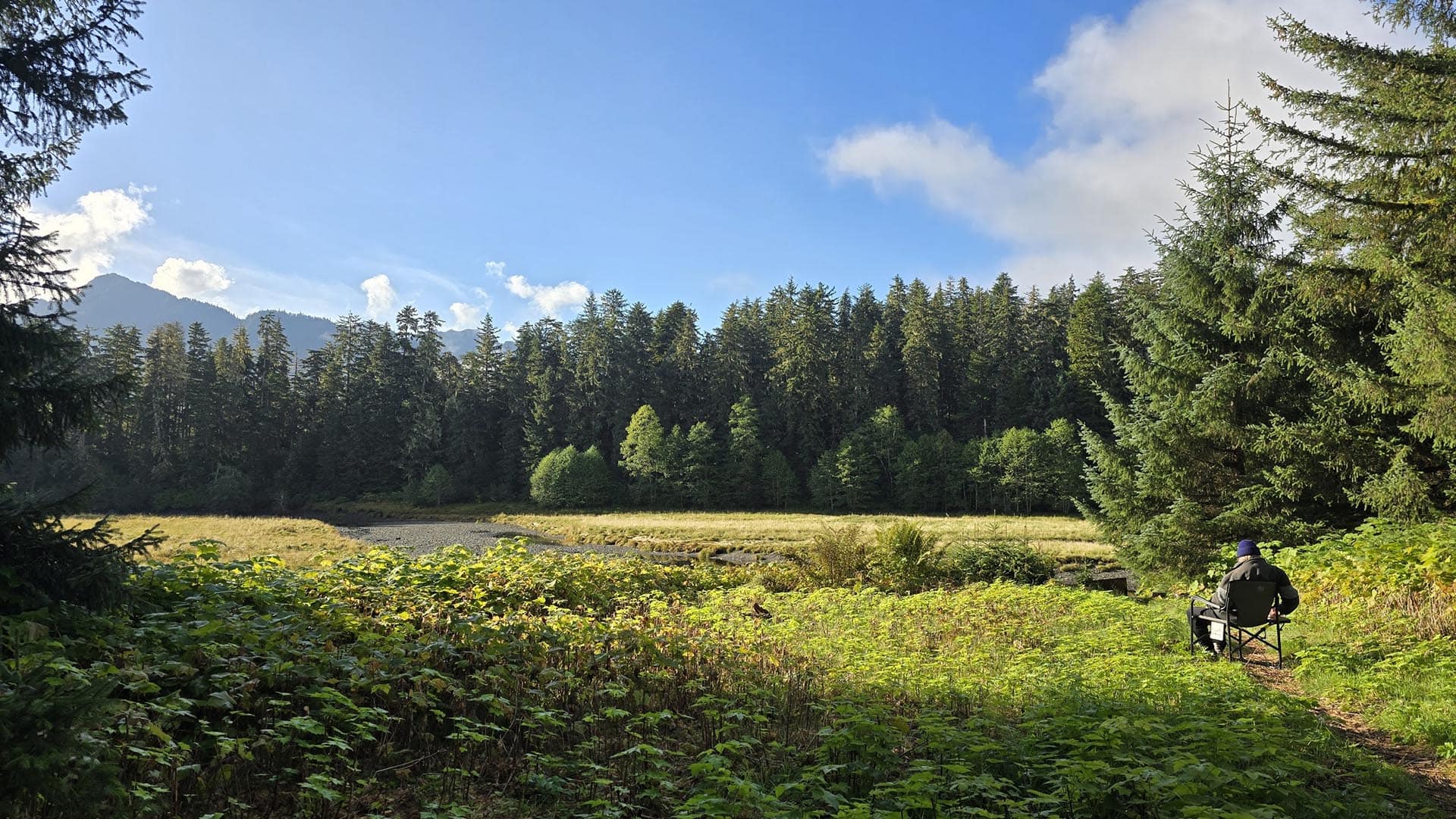 stream fishing alaska hasselborg homestead