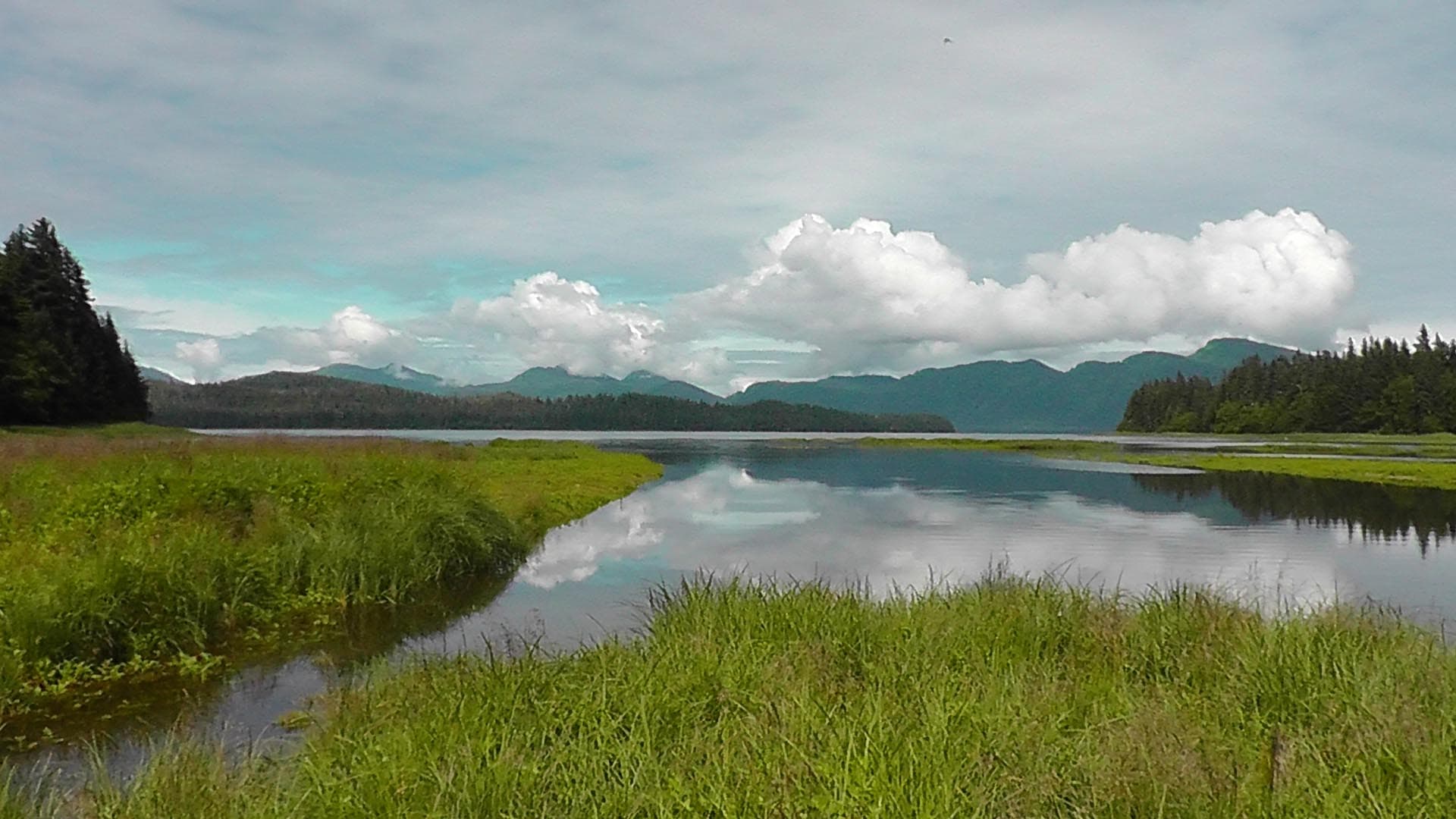 tide flats alaska hasselborg homestead