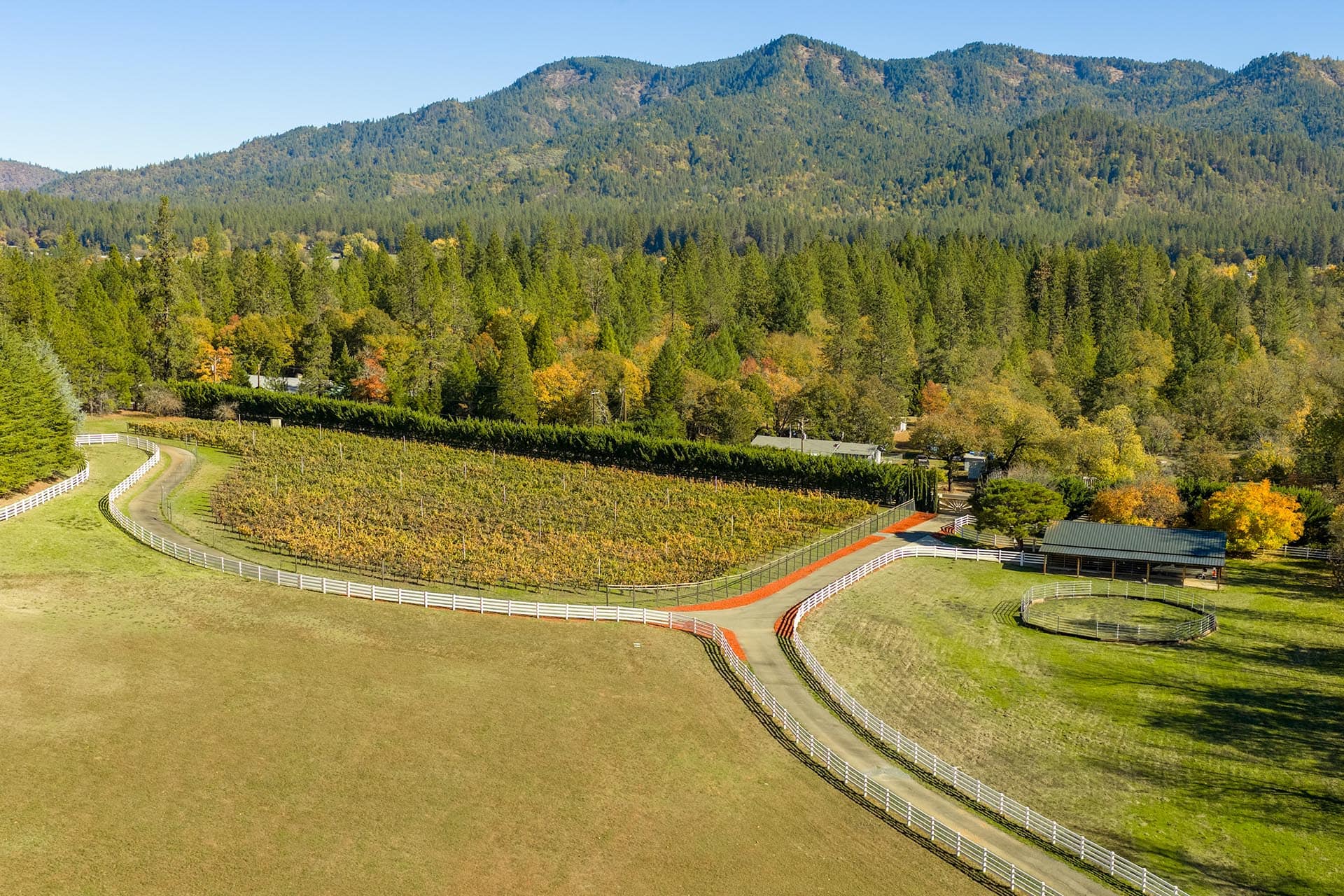 vineyard estate for sale oregon the bird estate