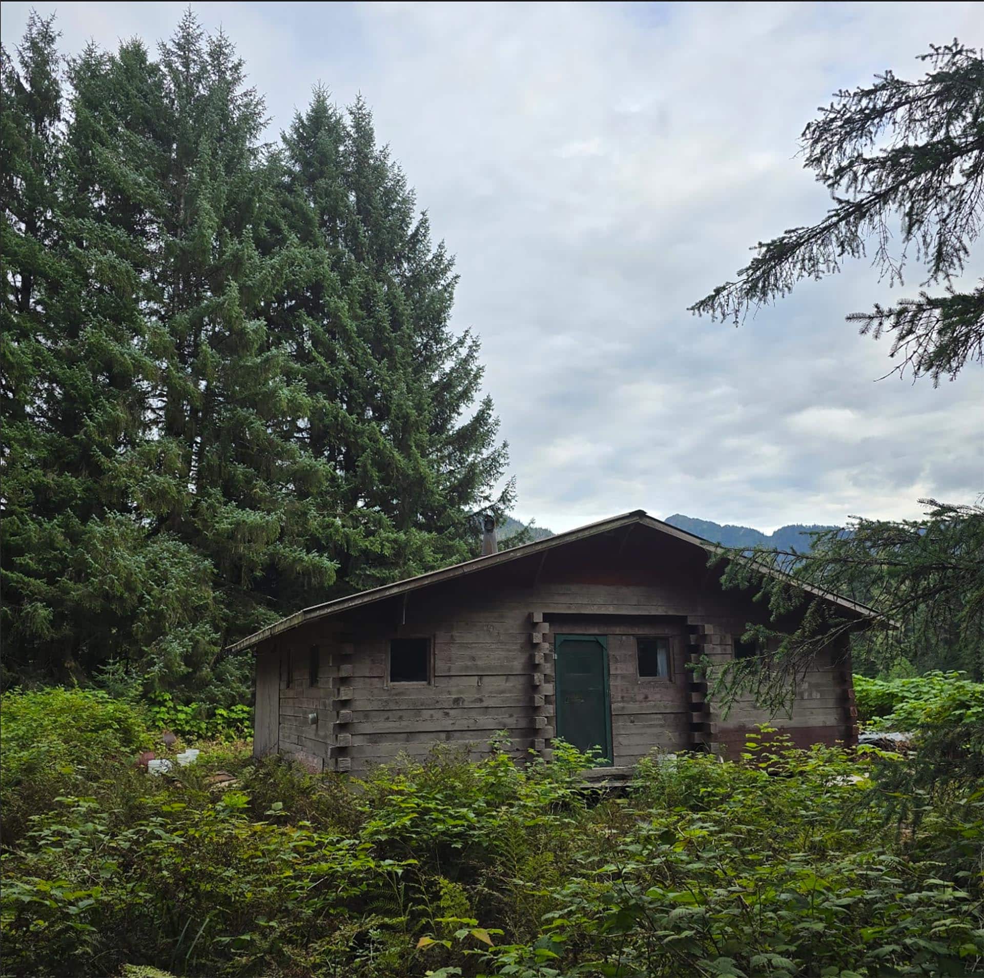 wilderness alaska hasselborg homestead