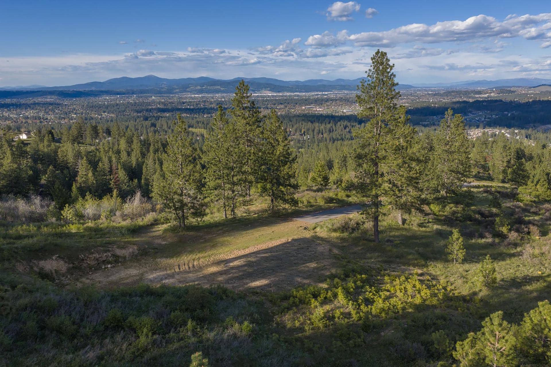 Panoramic view over evergreen trees to a valley town and distant mountains under a blue sky with scattered clouds, daytime.