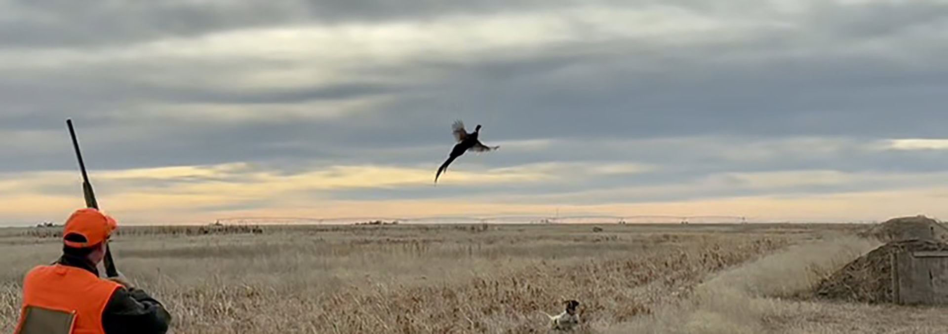 Colorado hunting property for sale bow and barrel lodge