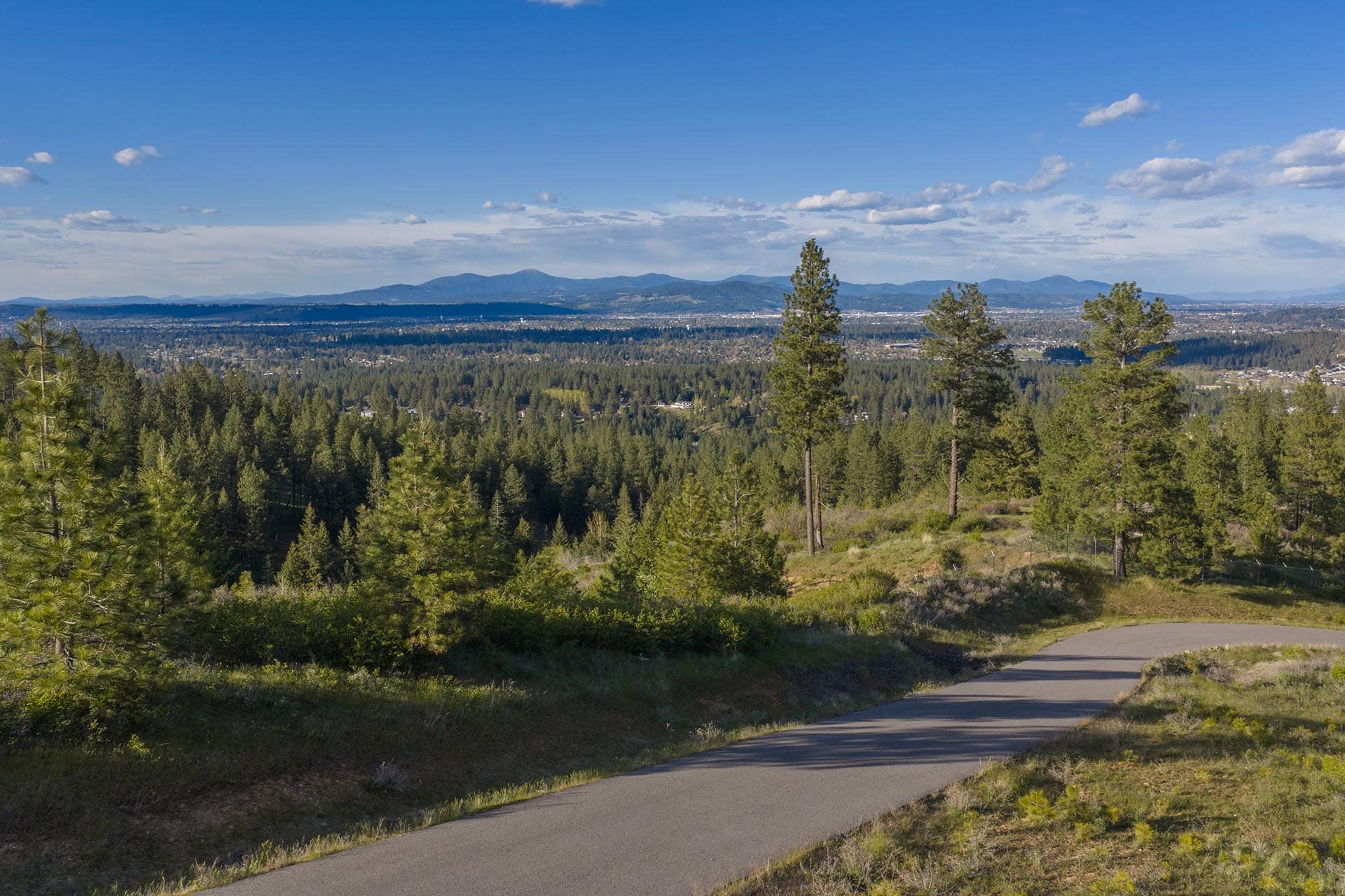 Winding paved road curves through a conifer forest with a distant mountain range under a clear blue sky