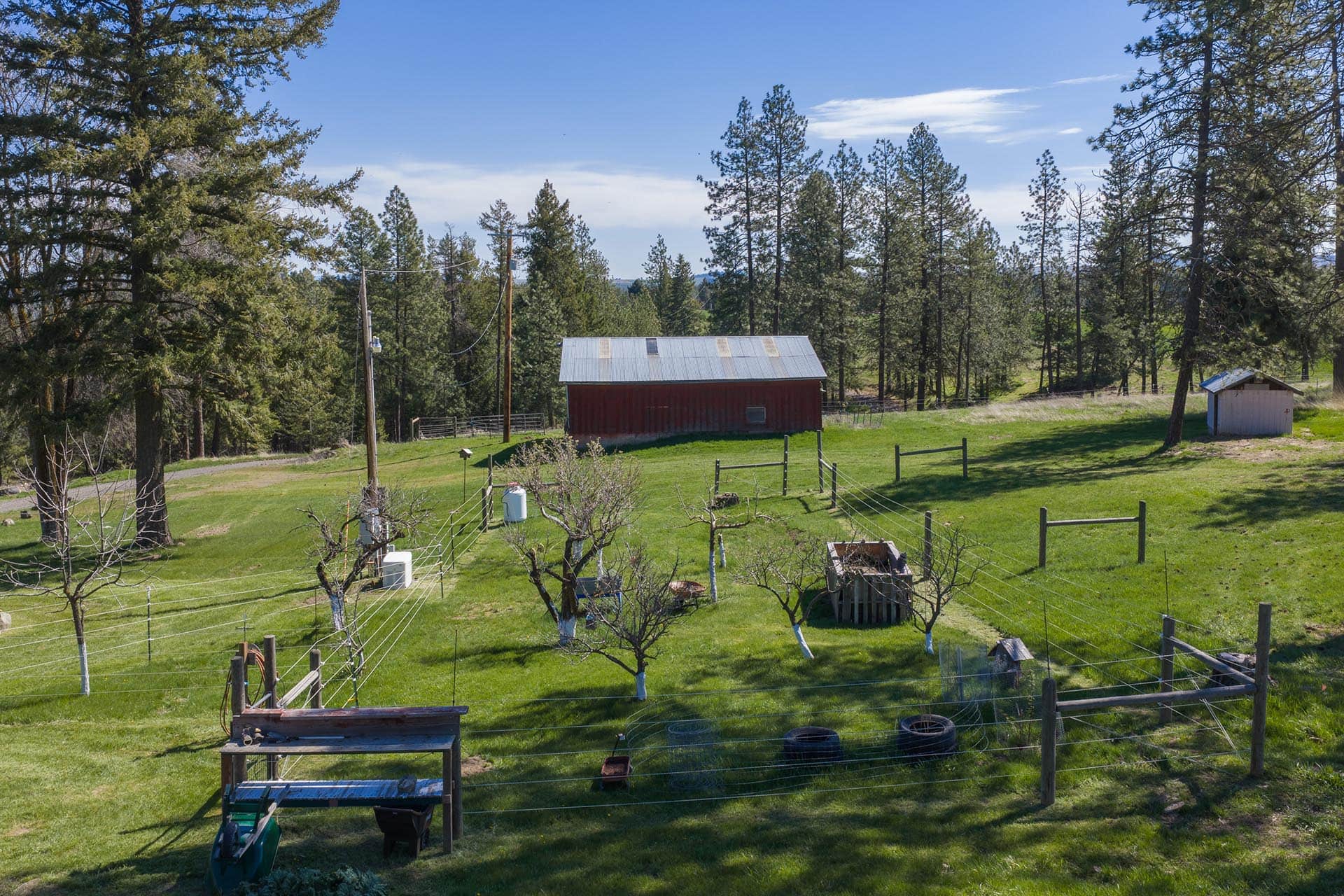 Fenced Orchard Eastern Washington Canyon Ridge Ranch