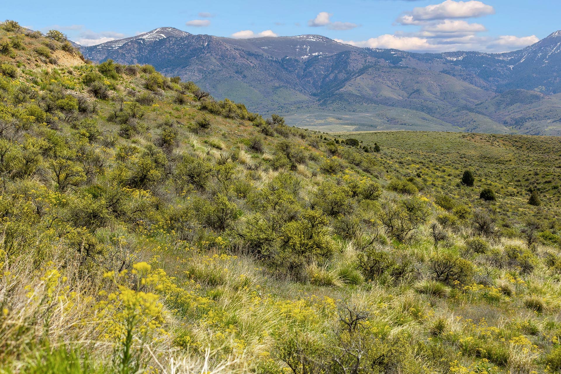Foothills Idaho Walker Creek Lookout