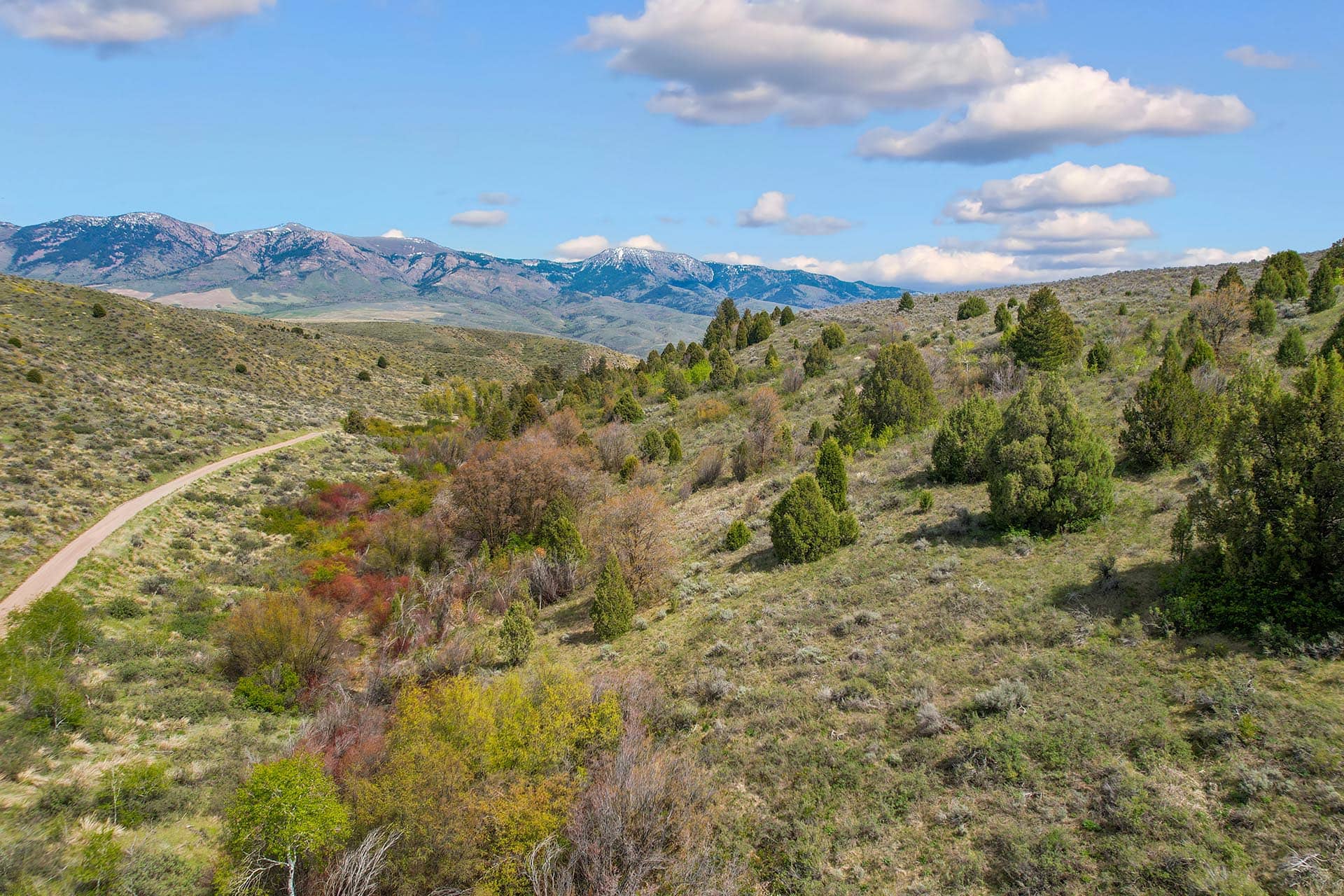 gmu 70 idaho walker creek lookout