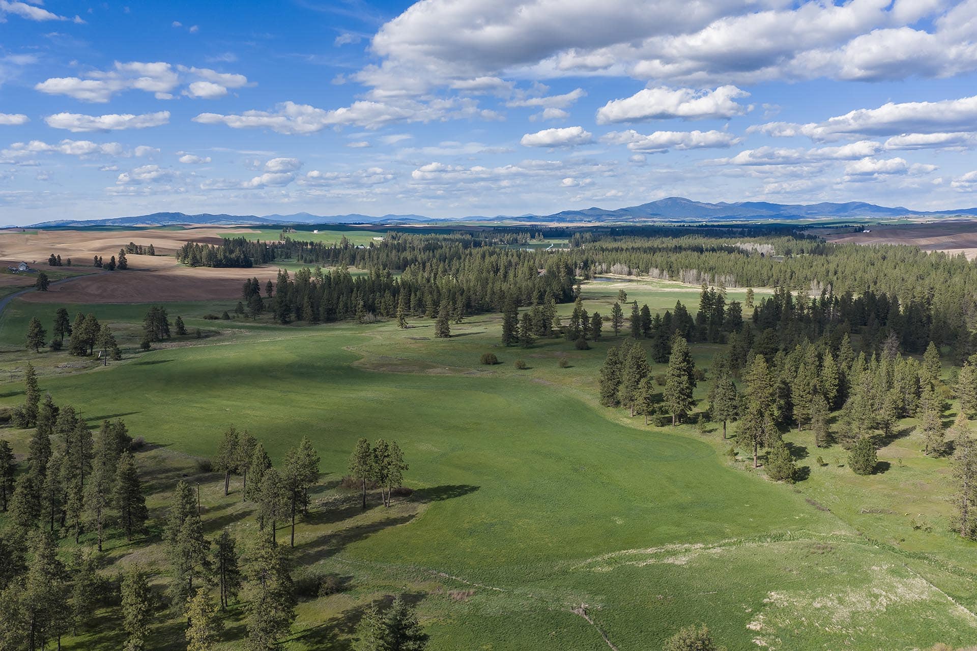 Wide rural landscape with rolling green fields, pine trees, and distant hills under a blue sky with scattered clouds