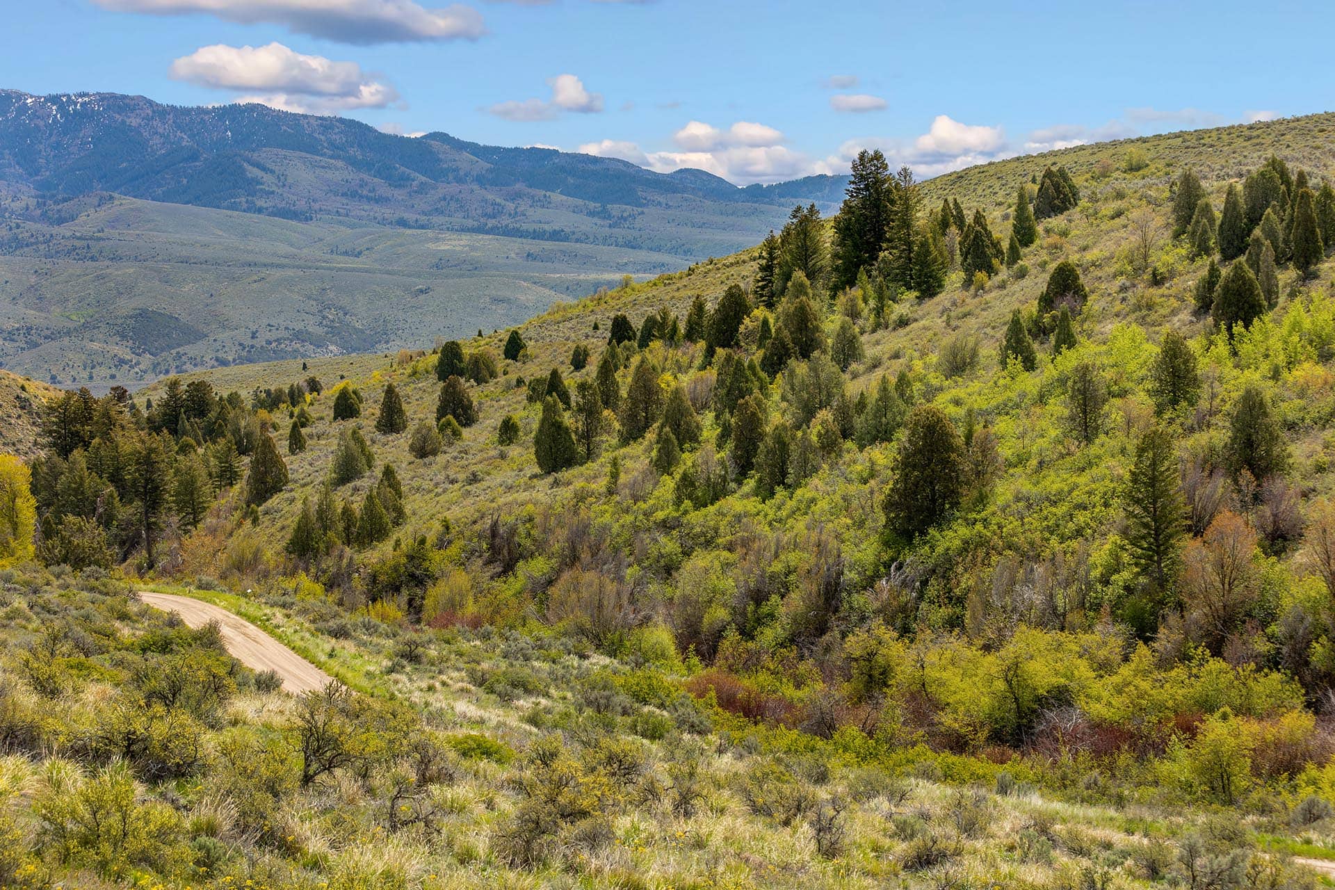 Haystack Mountain Idaho Walker Creek Lookout