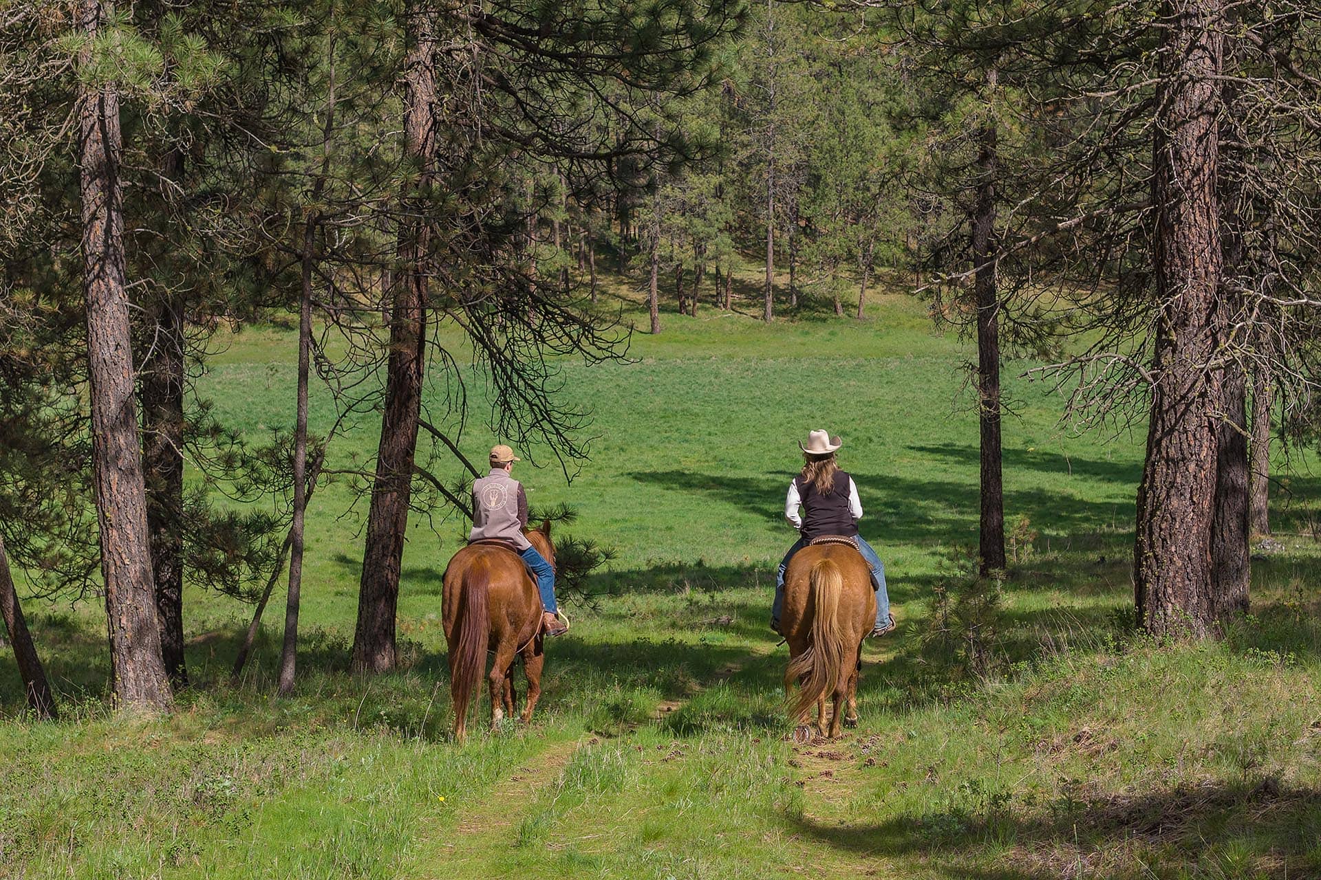 Two people riding horses along a grassy forest path, framed by tall pine trees on both sides.