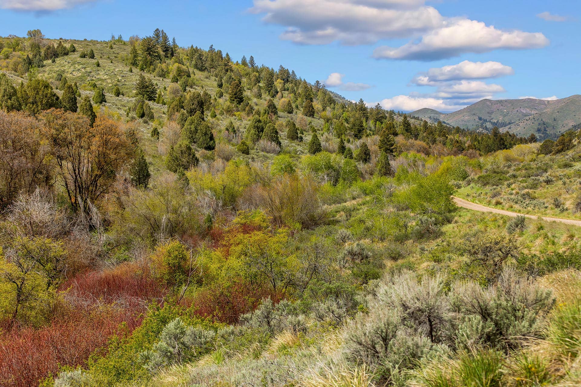Hunting Property Idaho Walker Creek Lookout