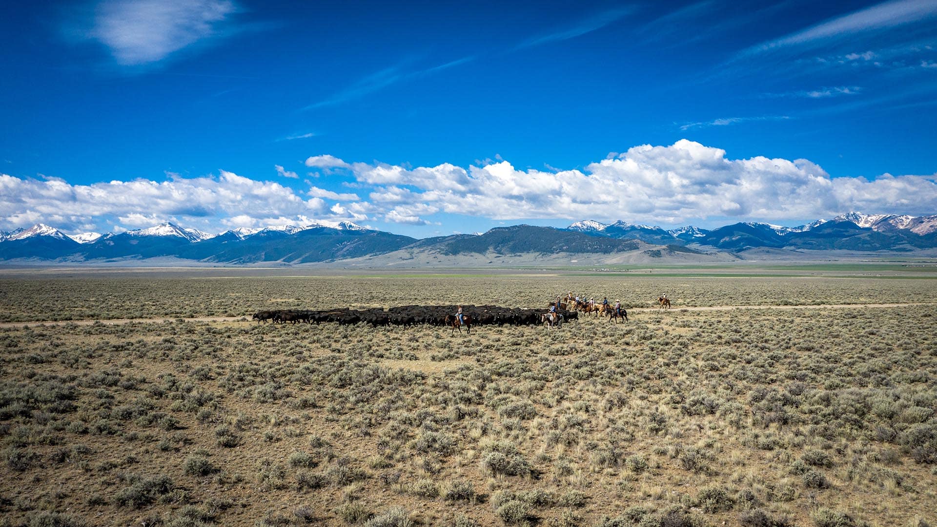 Idaho fly fishing ranch Lemhi River Leadore Angus Ranch
