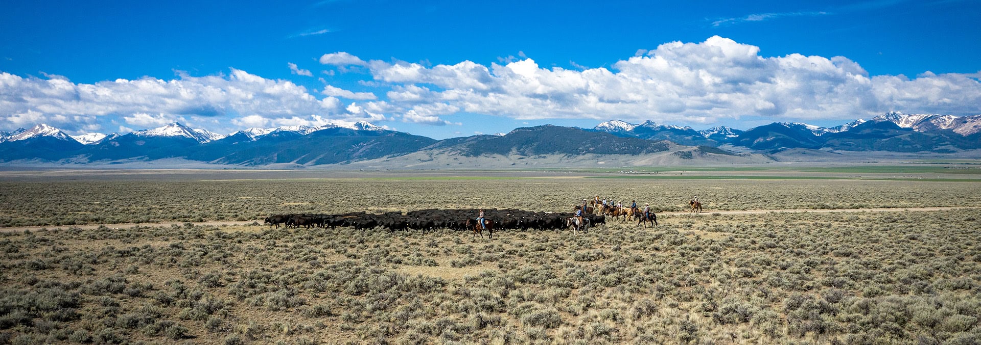 Idaho fly fishing ranches for sale Lemhi River Leadore Angus Ranch