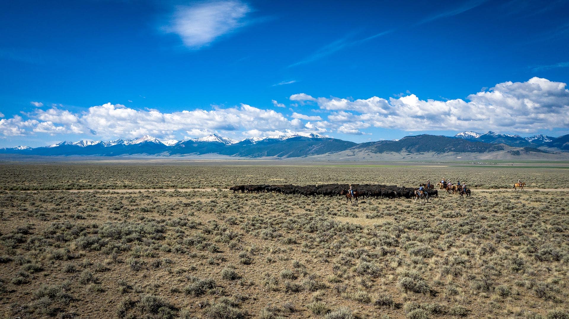 Idaho legacy ranch property Leadore Angus Ranch
