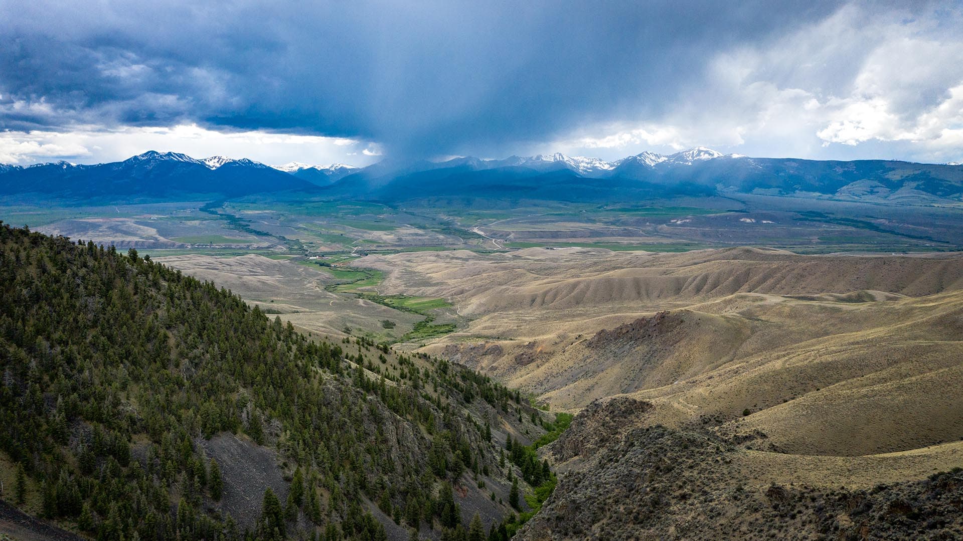 Idaho ranch with BLM grazing permits Leadore Angus Ranch