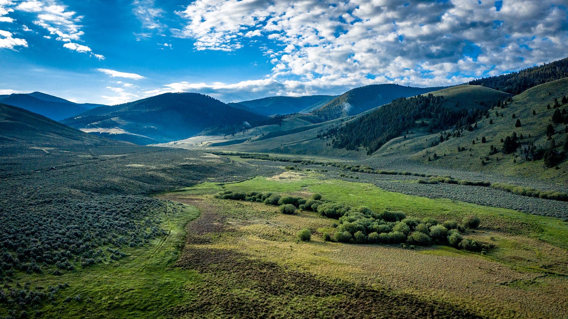 Idaho ranch with elk and deer hunting Leadore Angus Ranch