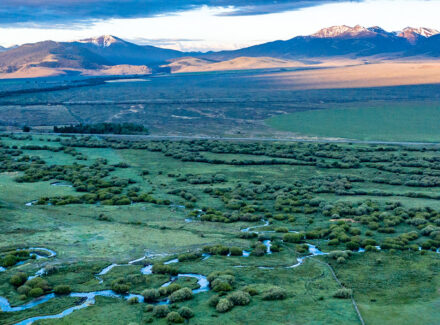 Idaho ranch with pivot irrigation for sale Leadore Angus Ranch