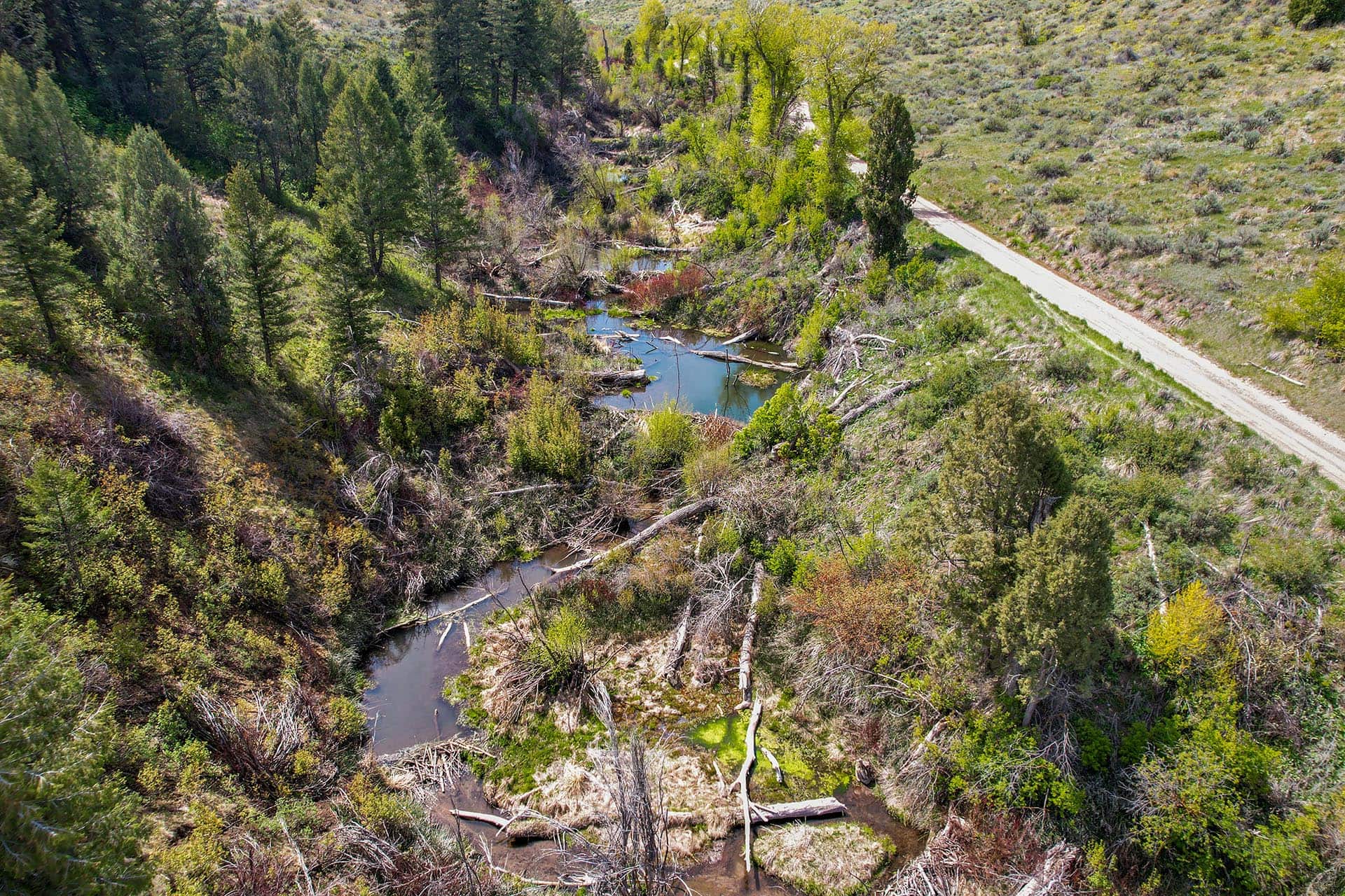 live water idaho wlker creek lookout