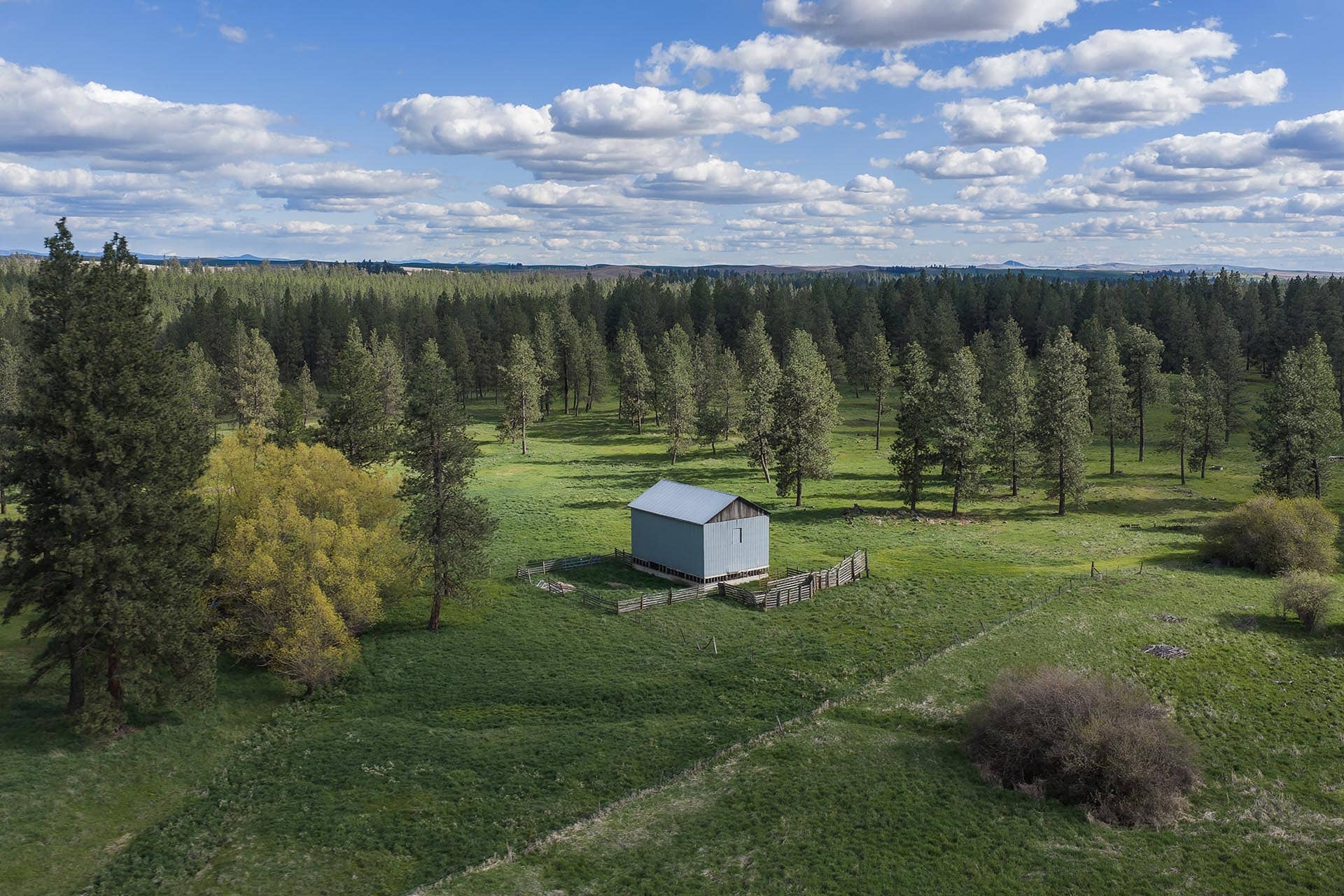 Blue shed in a grassy field with a wooden fence, surrounded by trees and a distant forest under a cloudy blue sky.