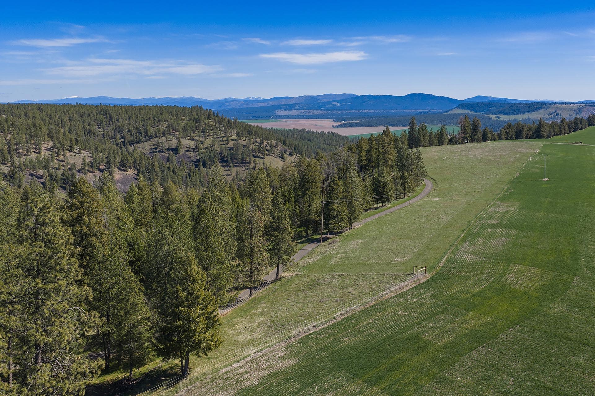 Mix Tree and Pasture Eastern Washington Canyon Ridge Ranch