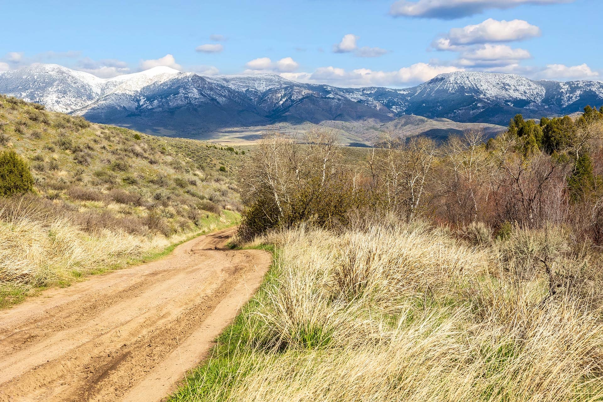 Mountain Views Idaho Walker Creek Lookout
