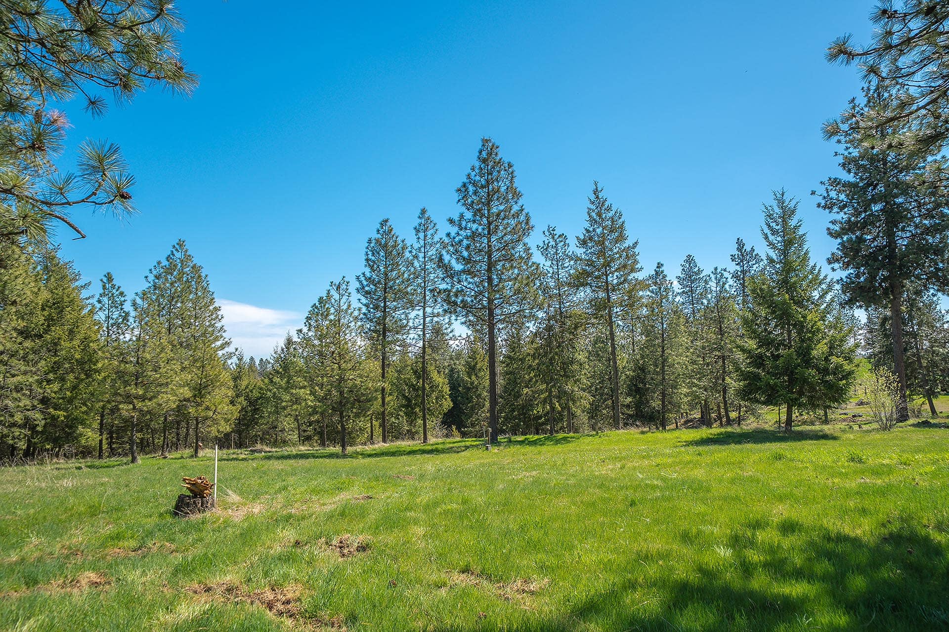 Pasture Area Washington Canyon Ridge Ranch
