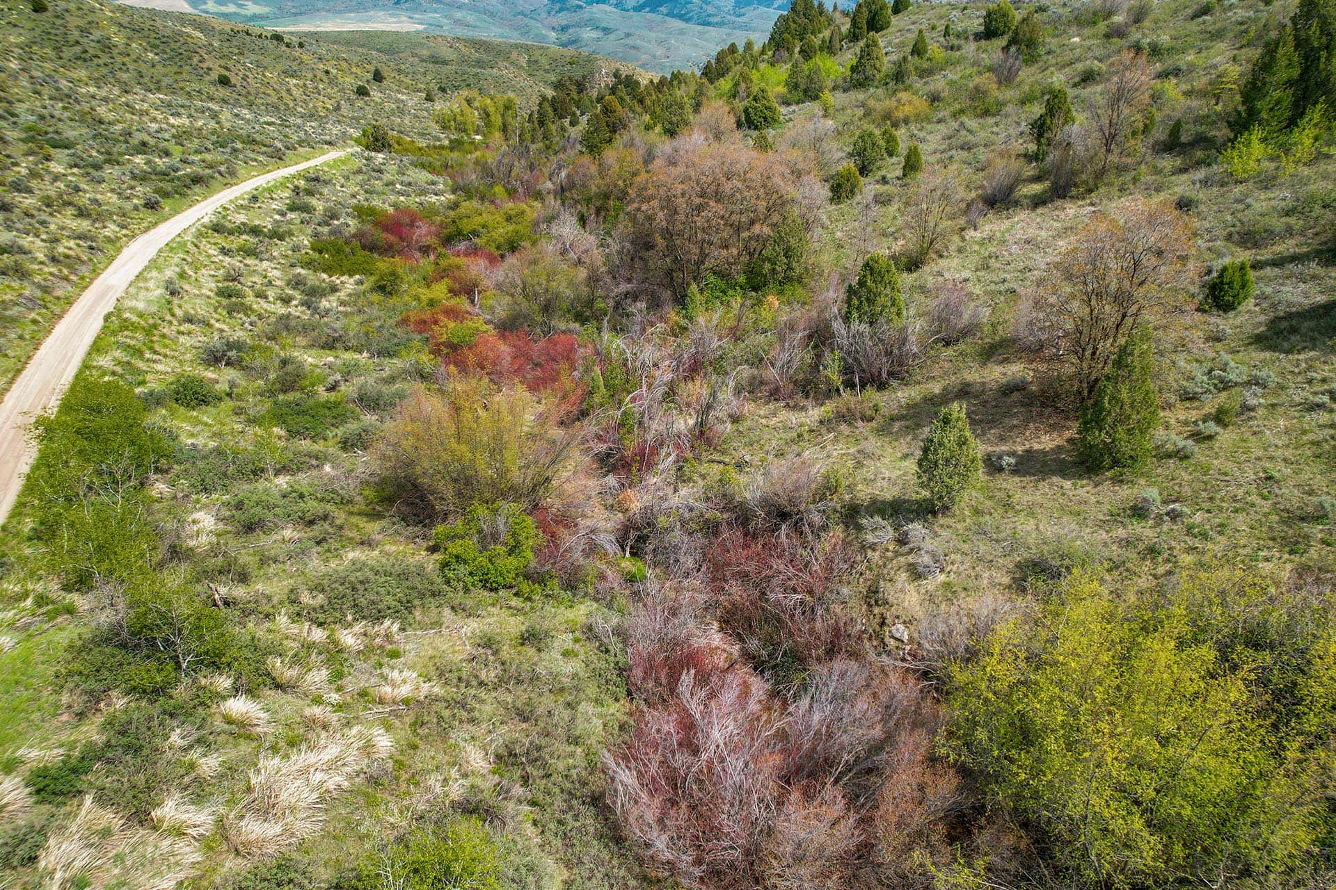 raw land idaho walker creek lookout