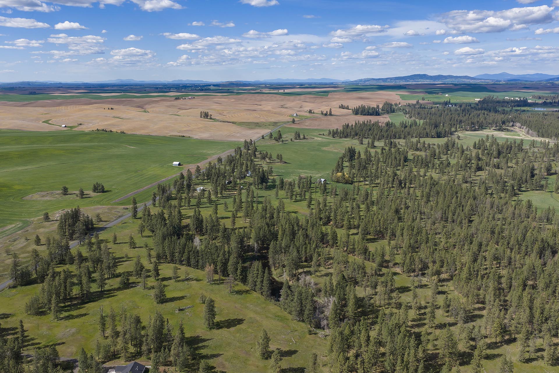 Aerial view of patchwork farmland: green fields, tan harvested areas, scattered trees and small farmhouses under a blue sky with clouds.