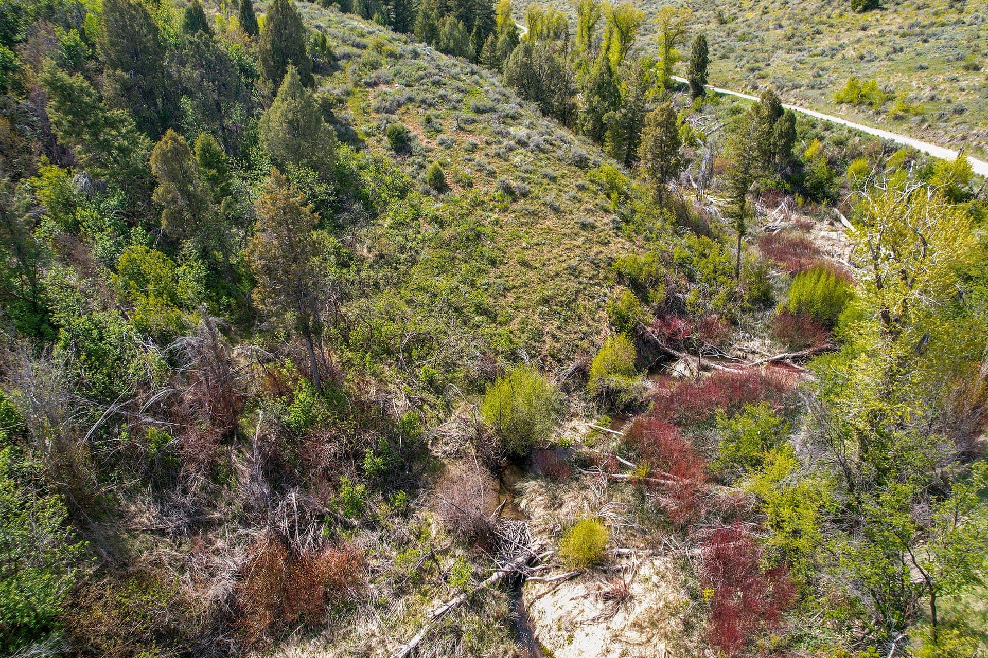 stock water idaho walker creek lookout
