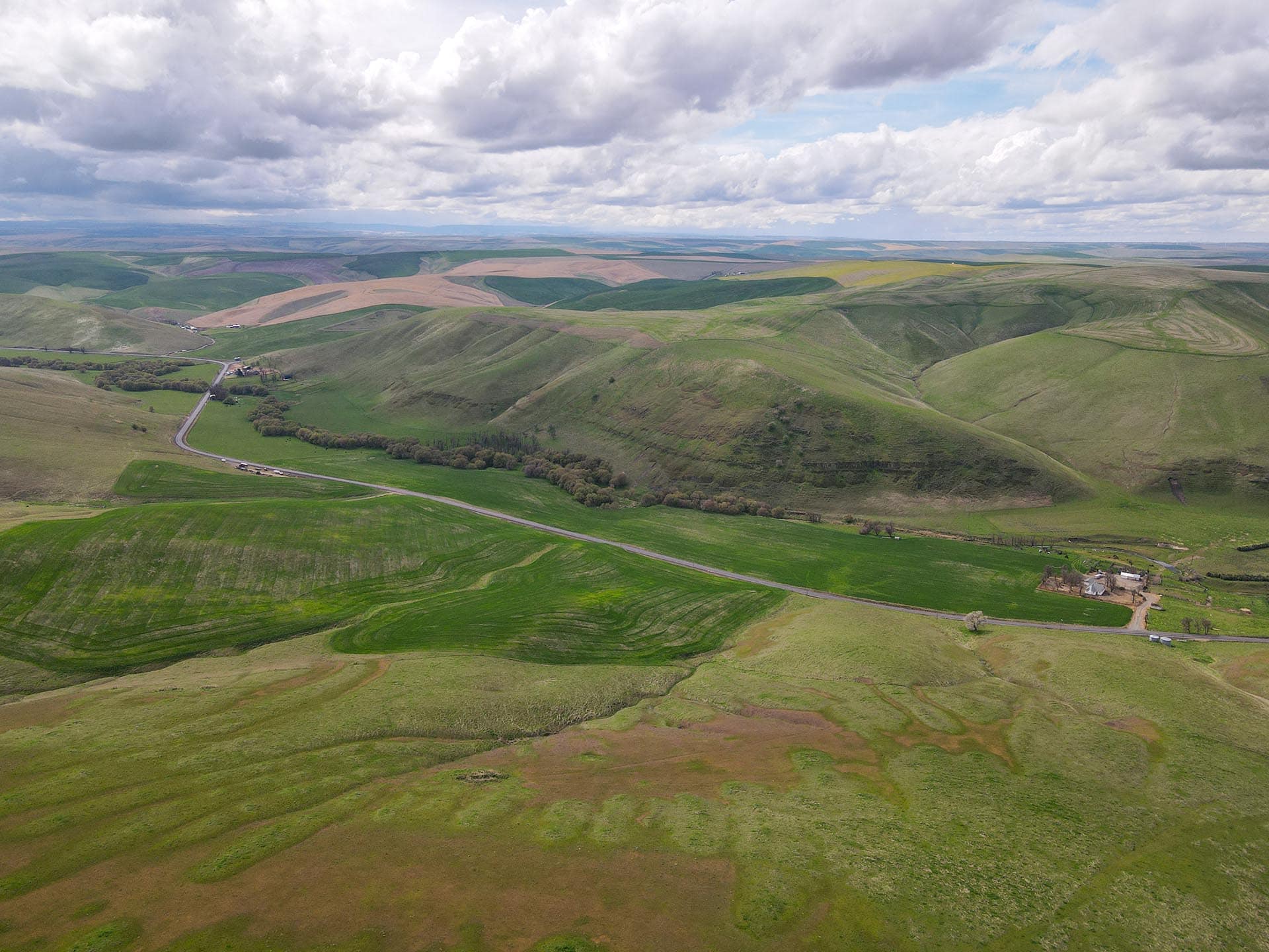 aerial view of property washington whitmore hereford cattle ranch