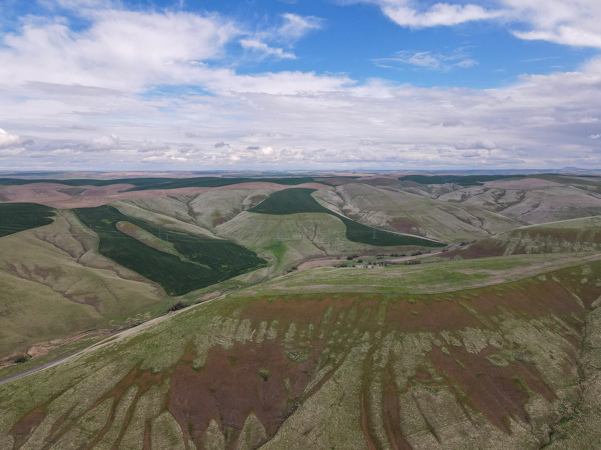 aerial view of property washington whitmore hereford cattle ranch