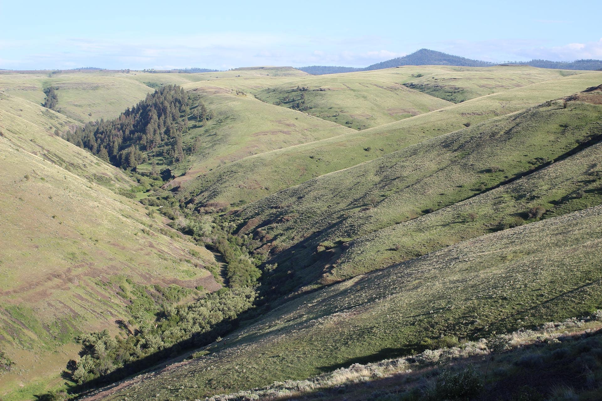 aerial view oregon thorn creek ranch