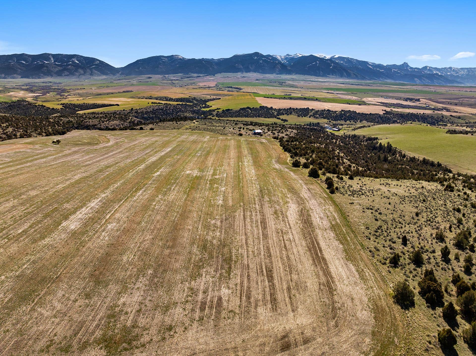 aerial view striped agricultural fields montana golden meadow at sxs ranch