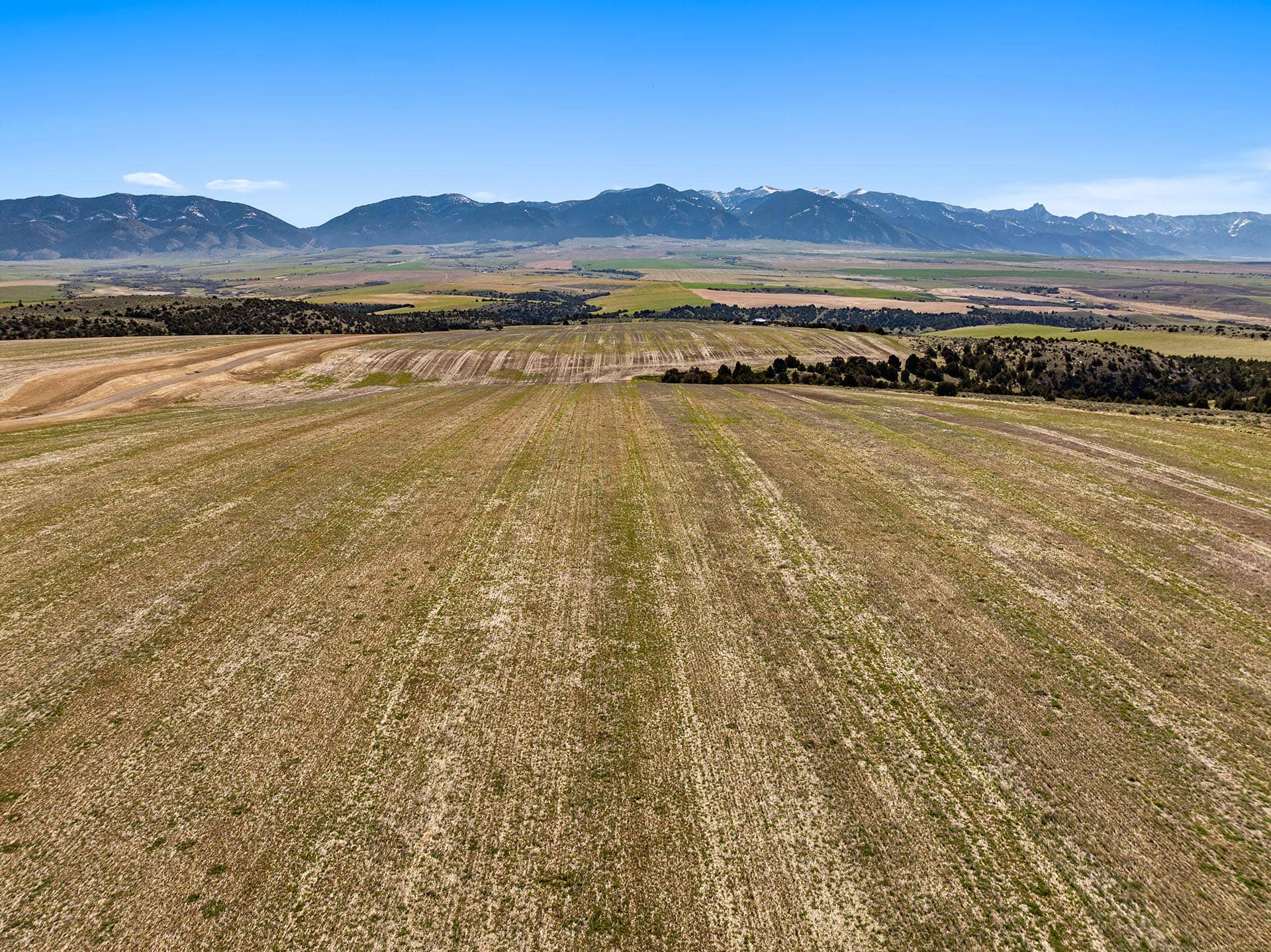 ag production land with snow capped mountains montana golden meadow at sxs ranch