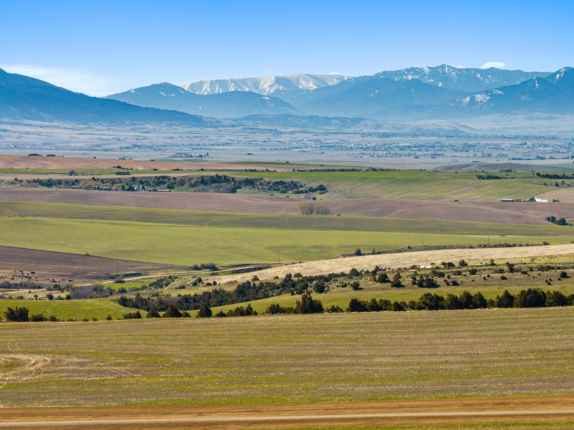 agricultural fields and juniper hills with distant mountain range montana golden meadow at sxs ranch