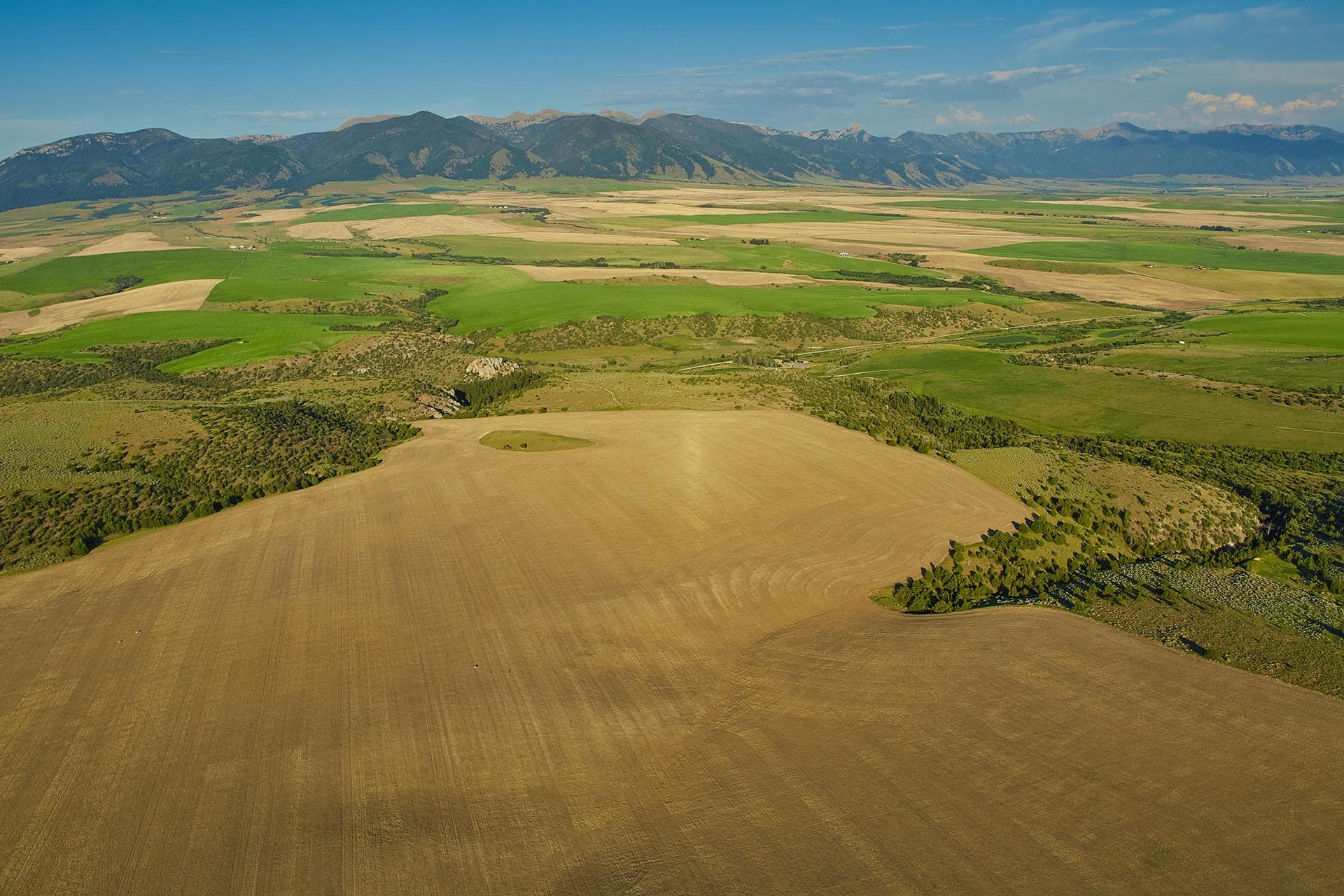 agricultural land montana golden meadow at sxs ranch