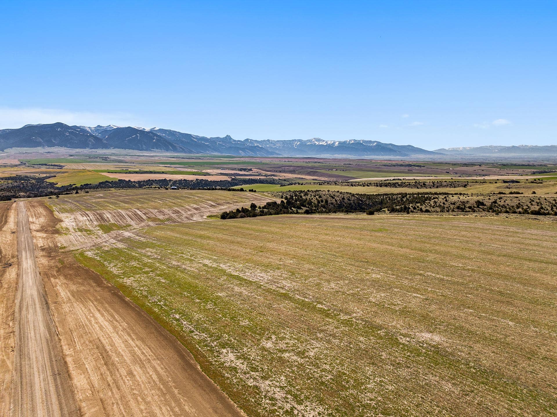 agricultural land with dirt road and distant mountains montana golden meadow at sxs ranch