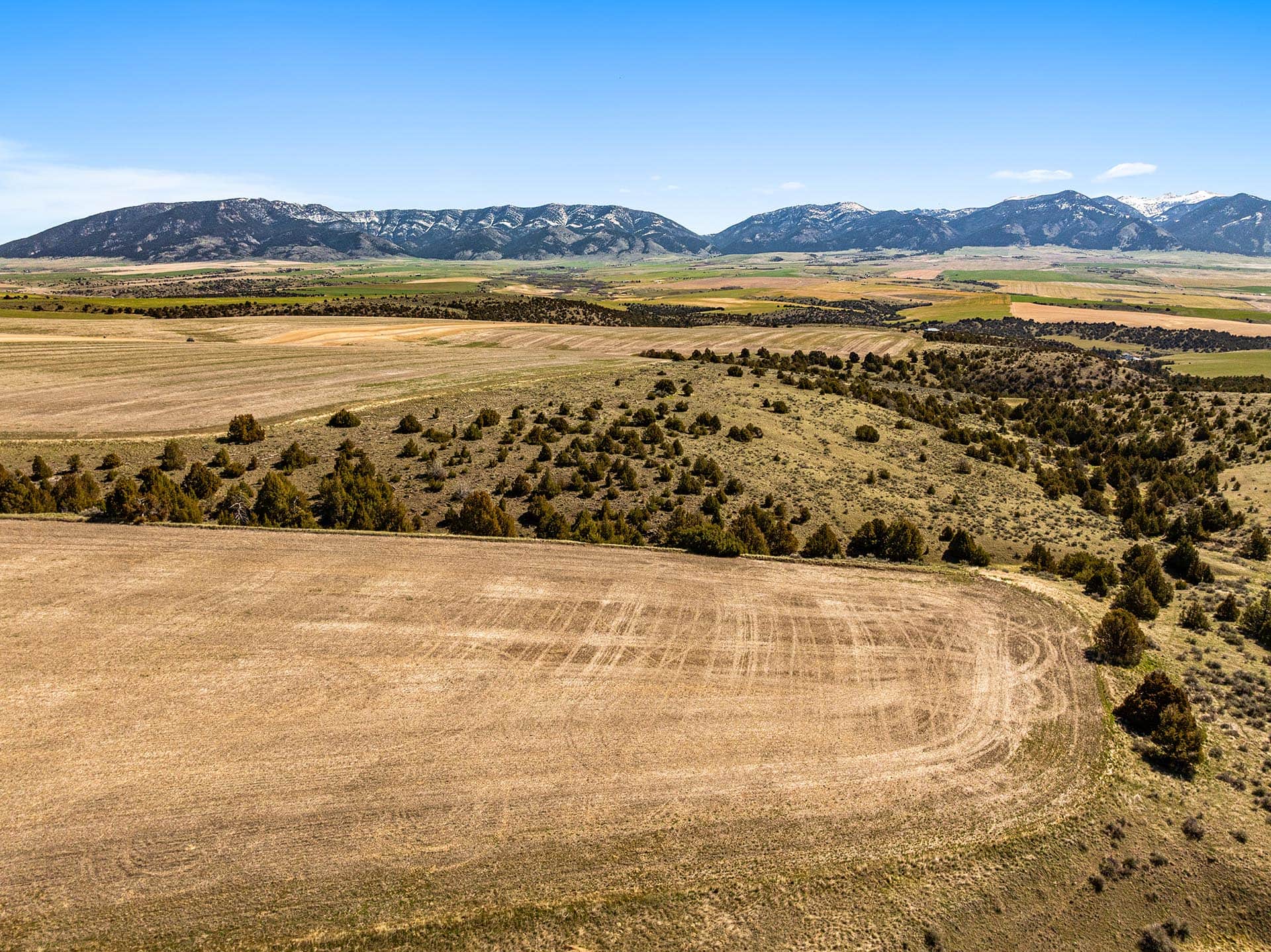 agricultural property with mountain views montana skinner road sanctuary at sxs ranch