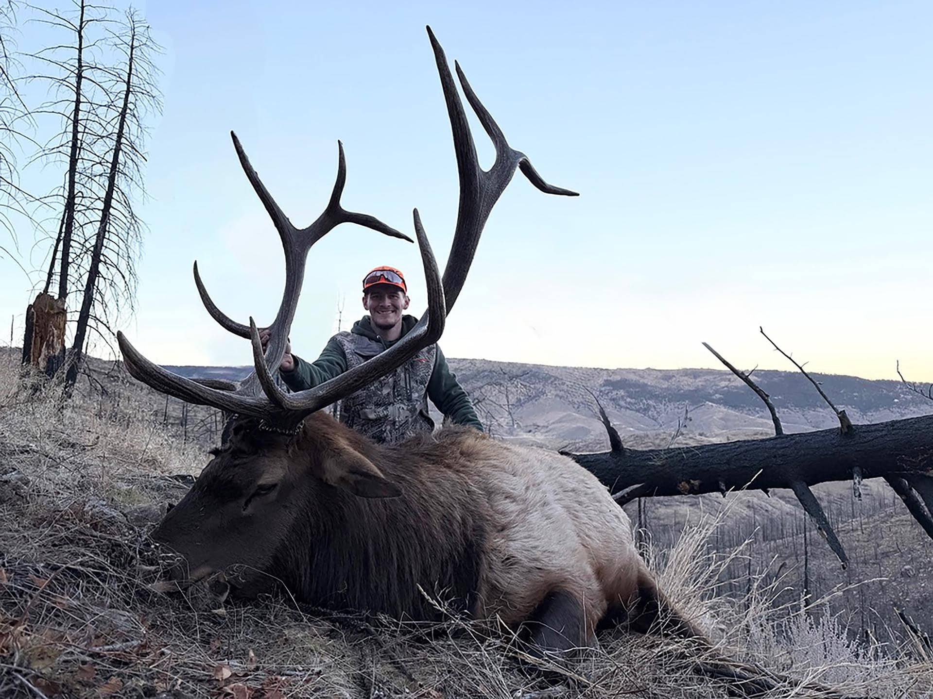 big game hunting land colorado bar d ranch