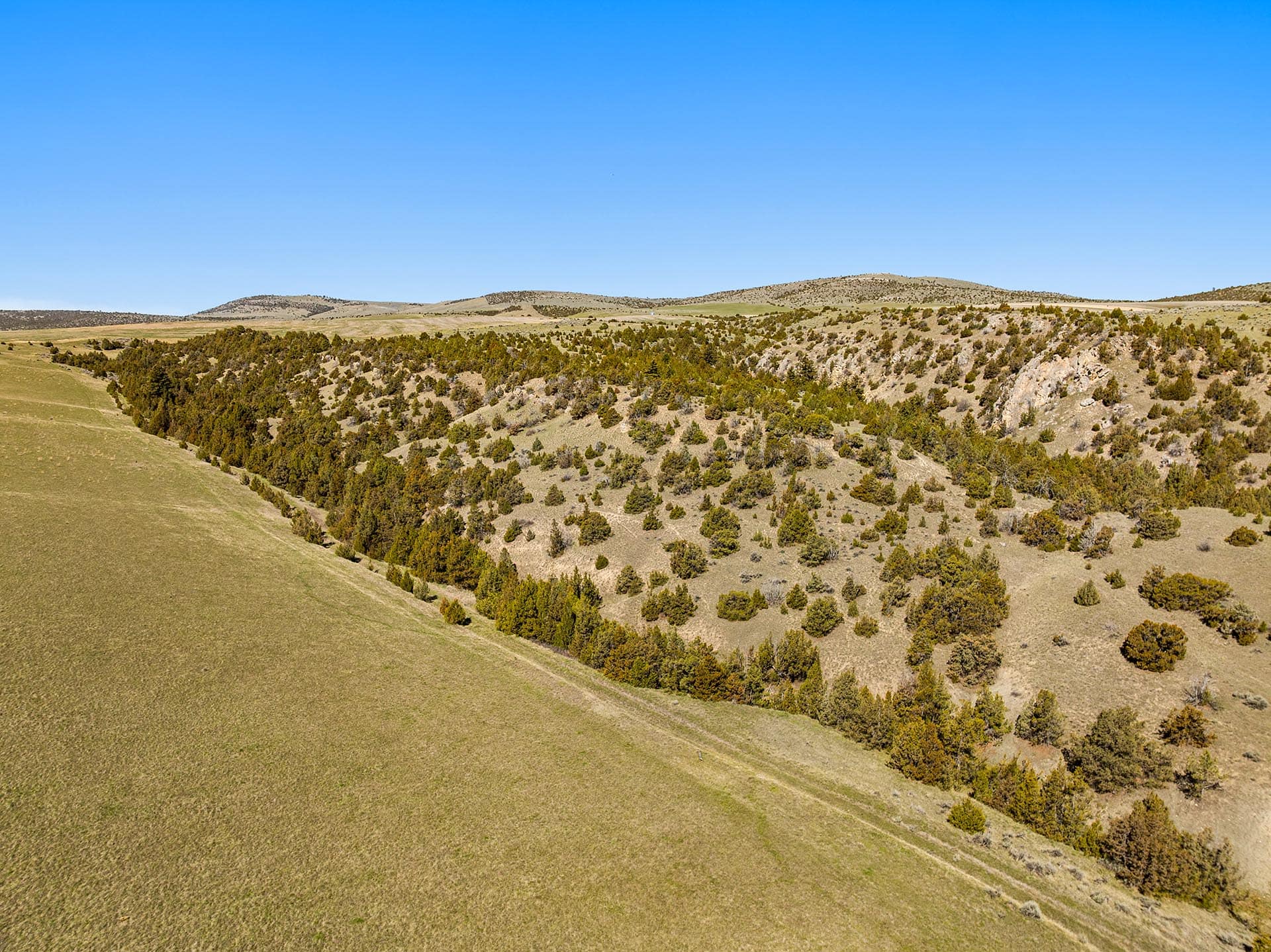 blue big sky montana whitetail hollow at sxs ranch