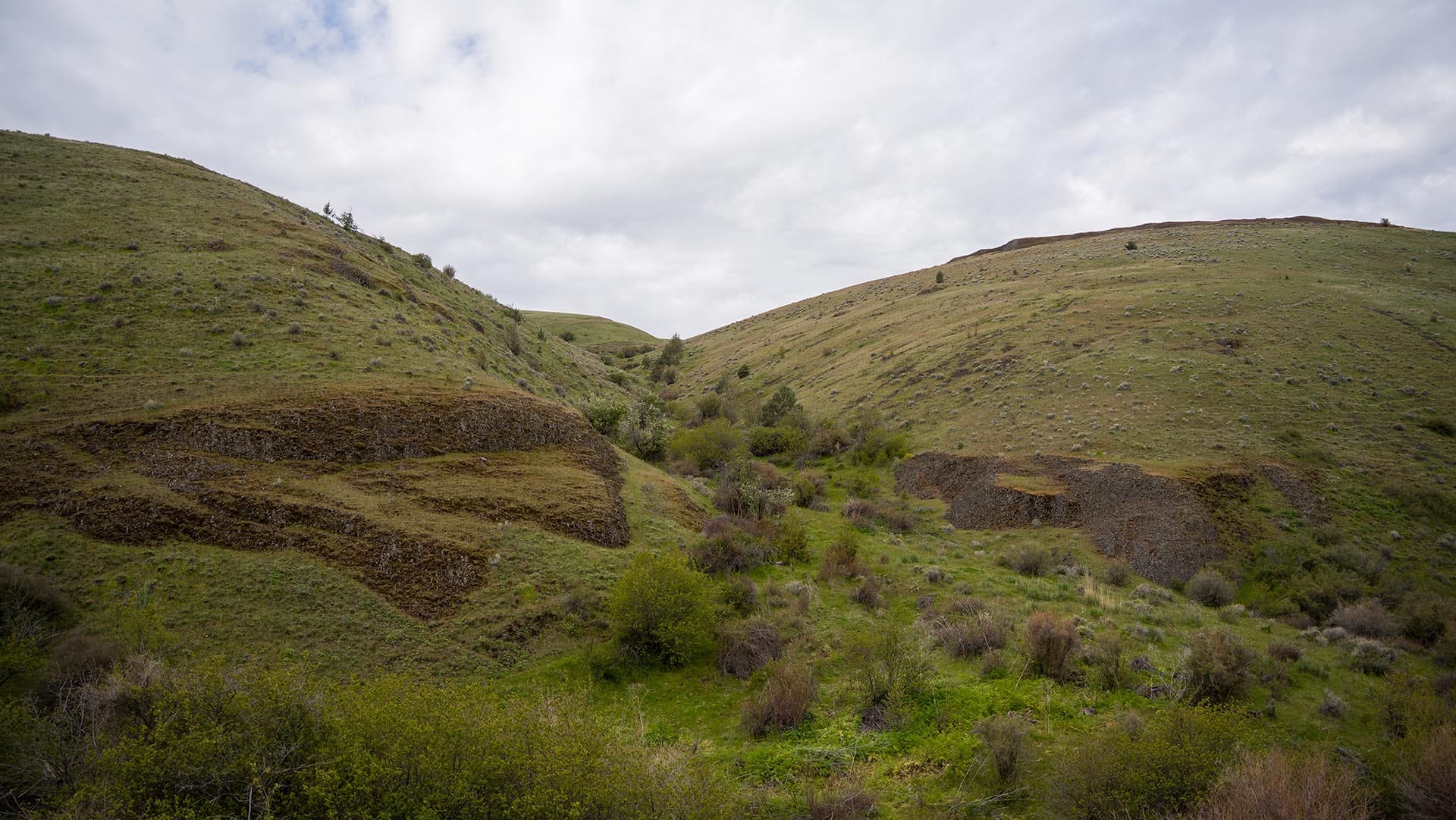brushy side canyon oregon thorn creek ranch
