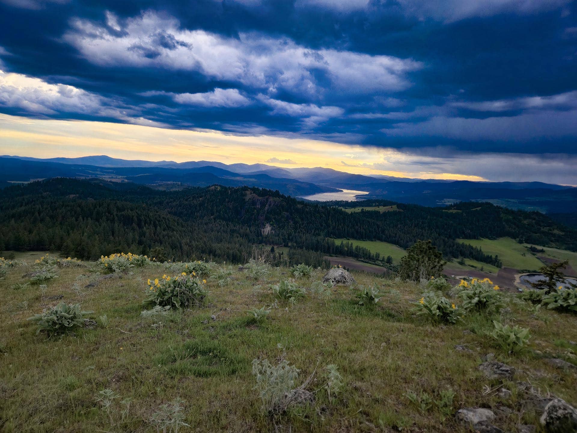 buildable acreage property washington elk ridge