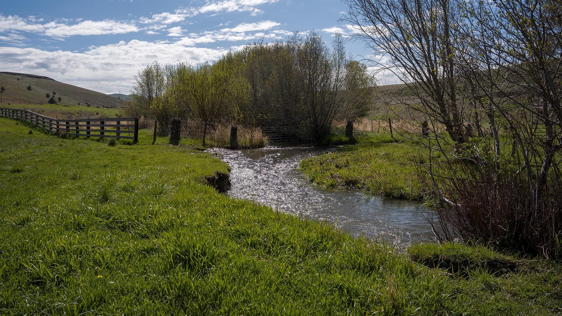 cattle creek crossing oregon thorn creek ranch