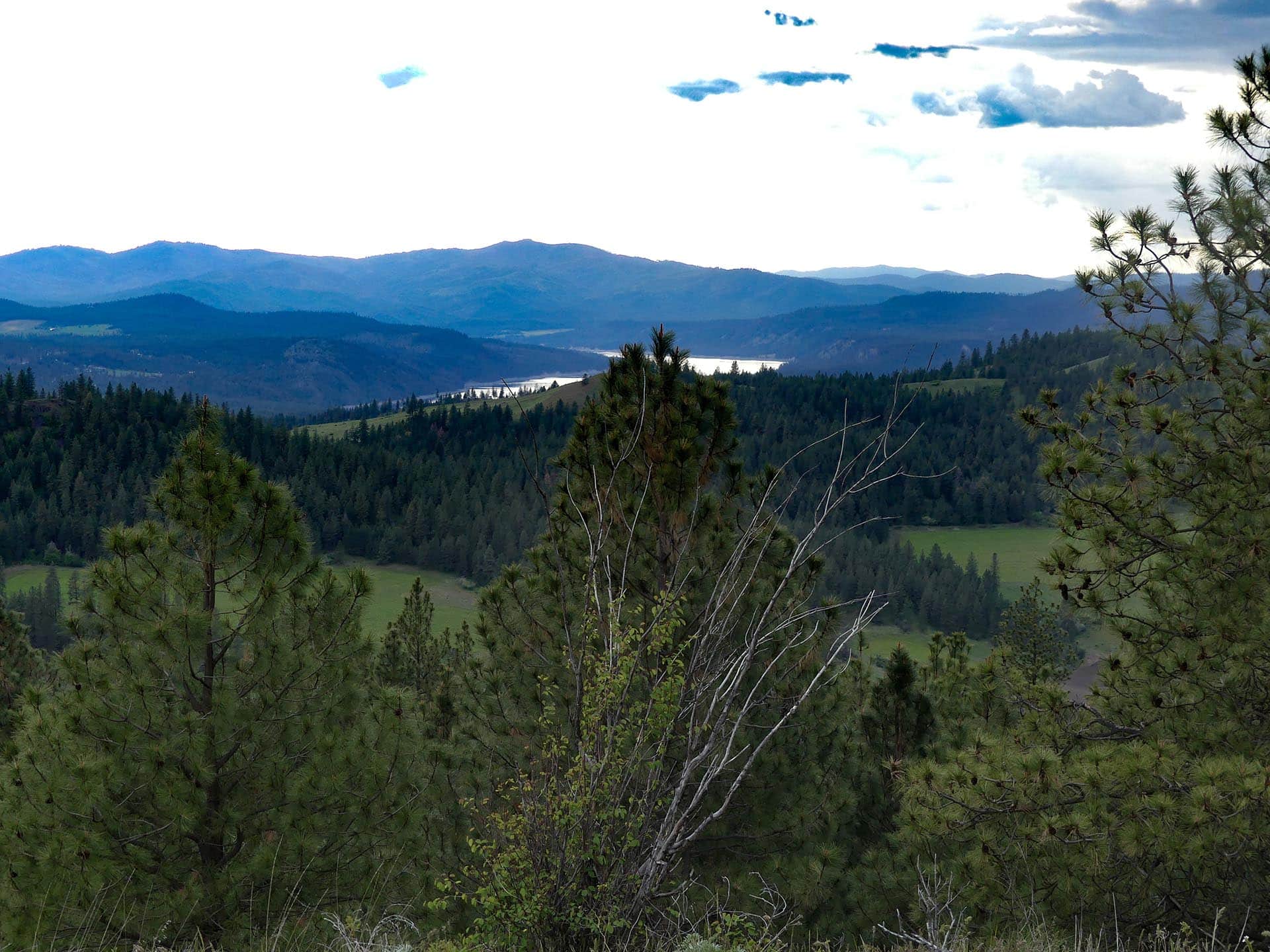 Forested hillside with distant blue mountains and a lake in the valley, under a partly cloudy sky.