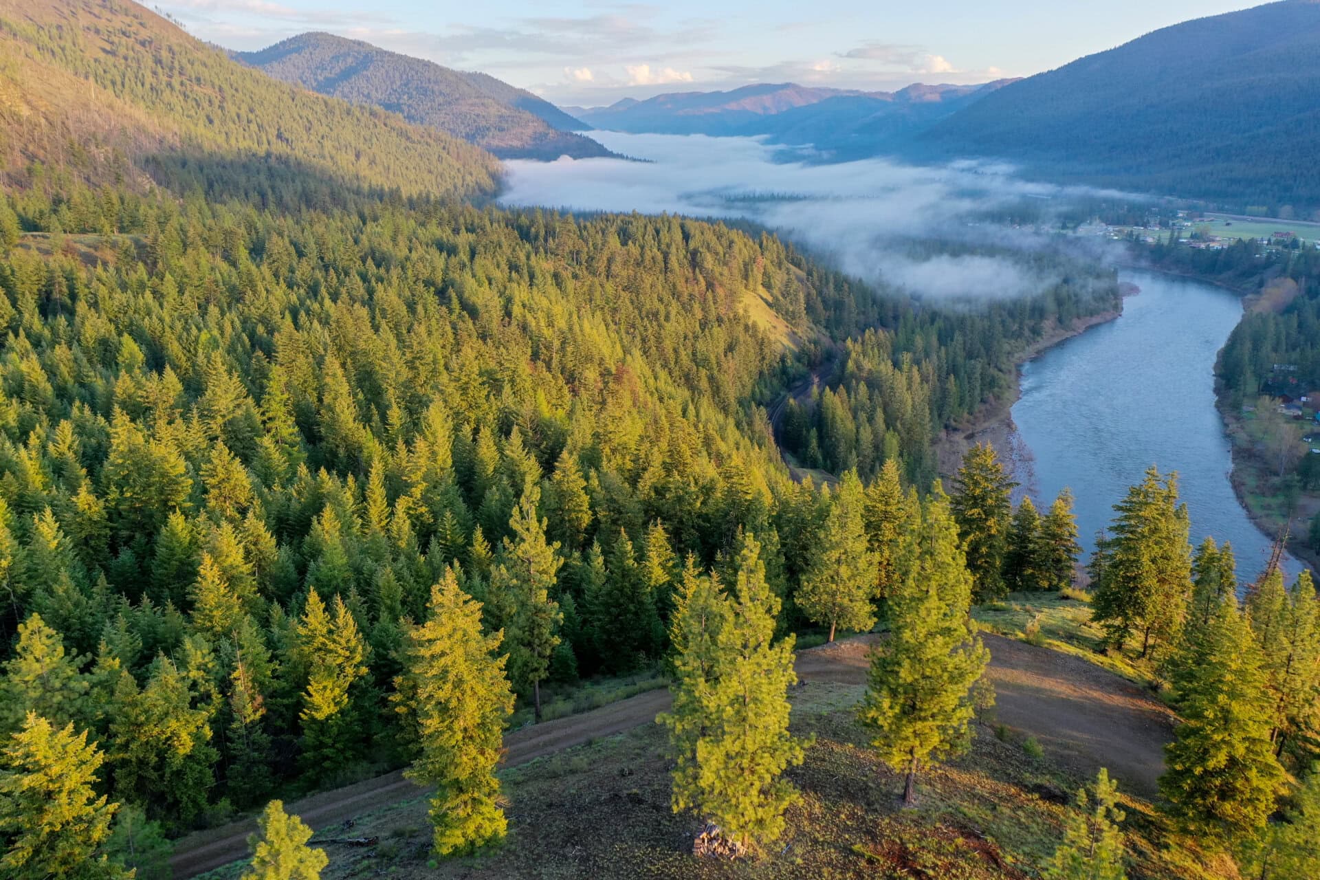 Aerial view of a dense pine forest along a winding river in a misty valley with distant mountains under a blue sky.