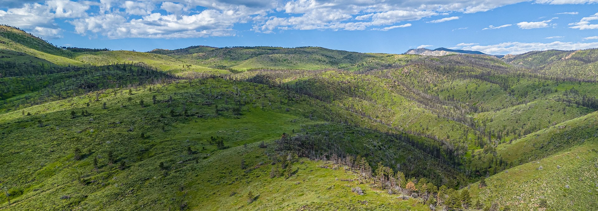 colorado hunting property for sale bar d ranch