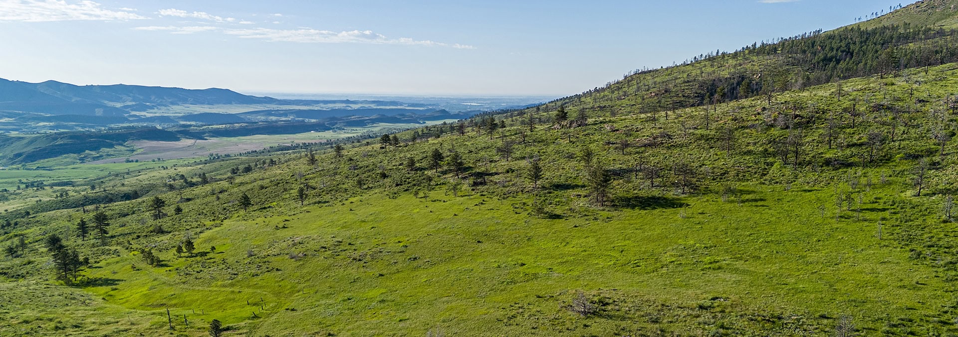 colorado land for sale bar d ranch