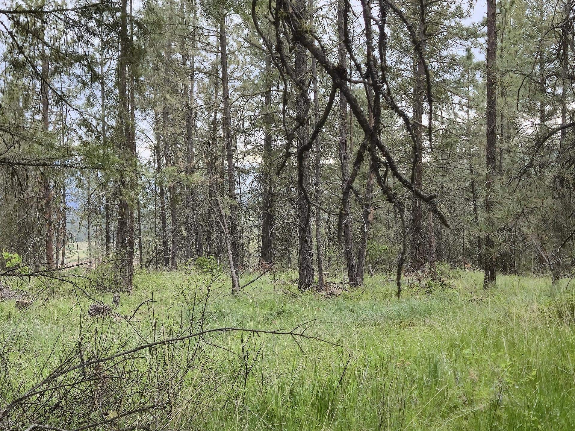 country estate property washington elk ridge