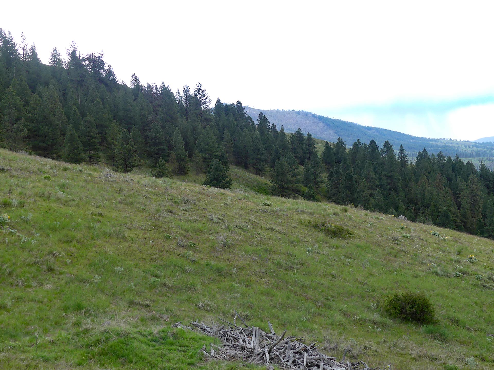 country living acreage washington elk ridge